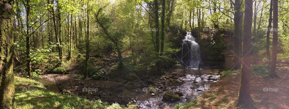 Woodlands waterfall