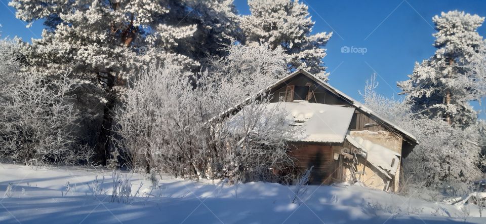 заброшенная зимняя избушка