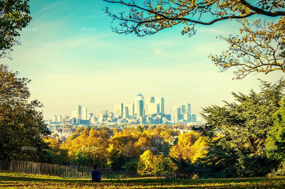 A man dreams of the city life from the beauty of an autumnal park. Canary Wharf, London in fall. 