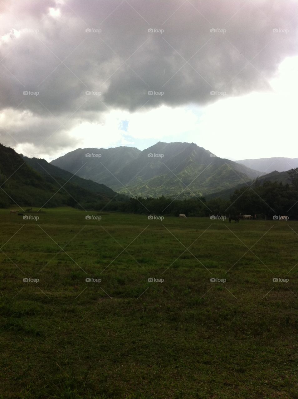 Landscape, Mountain, No Person, Fog, Hill
