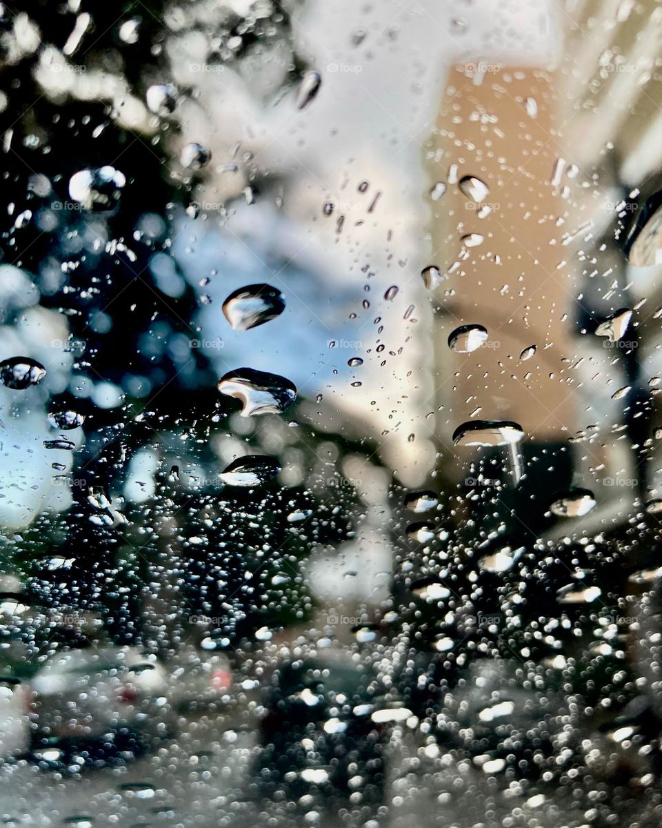 Chuva!
Que venha mansa e refresque nossa tarde de calor absurdo…
Aqui: Centro de Bragança Paulista.