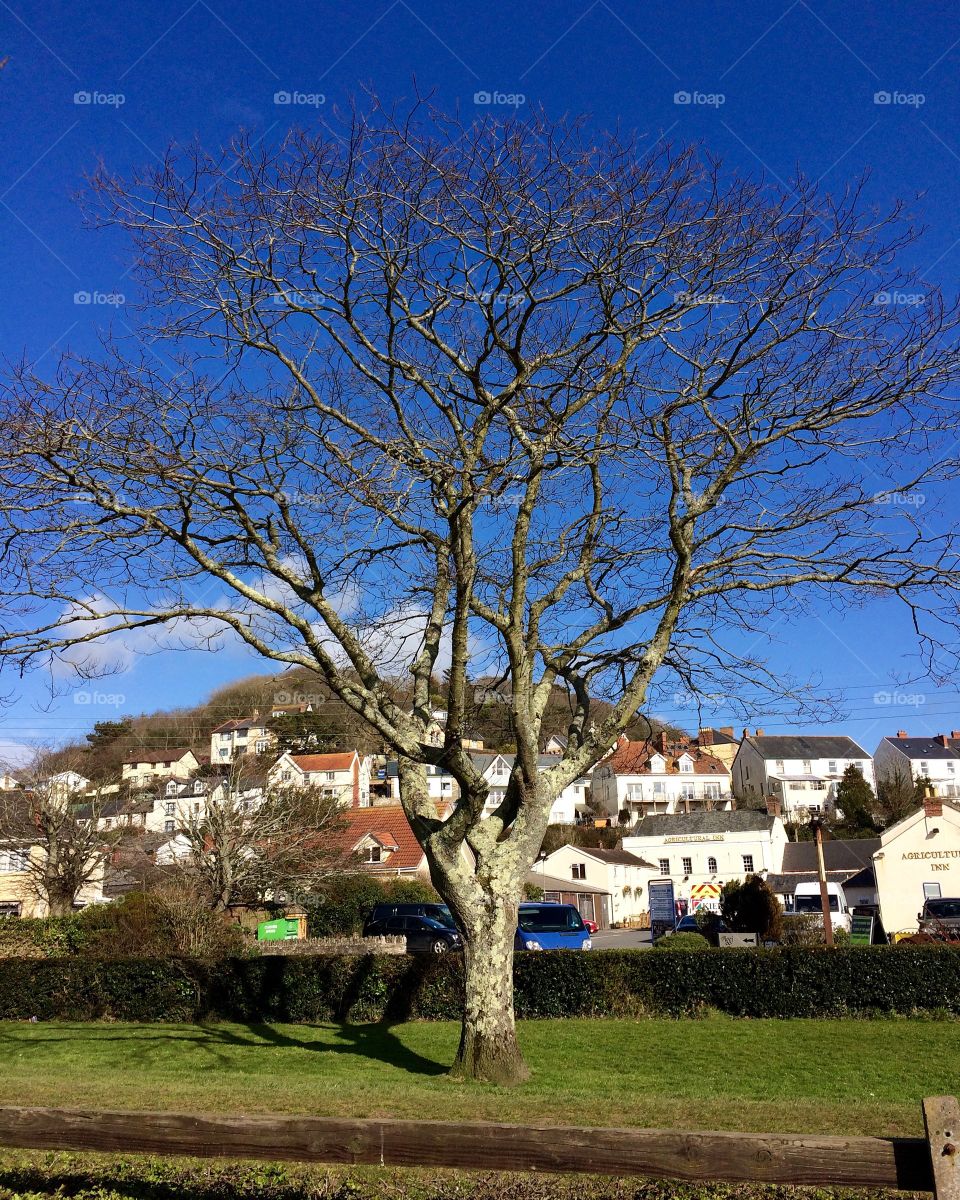 Look at that blue sky