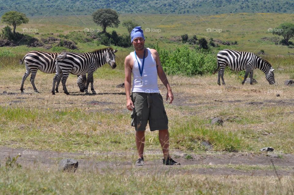 Stripes in the background