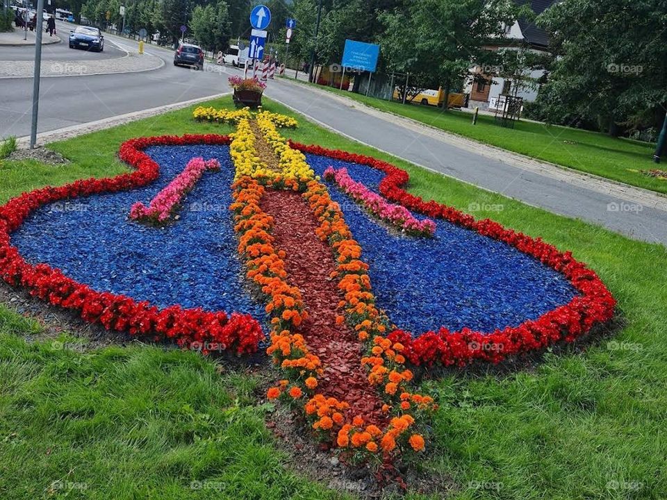 Landscape of flowers and nature