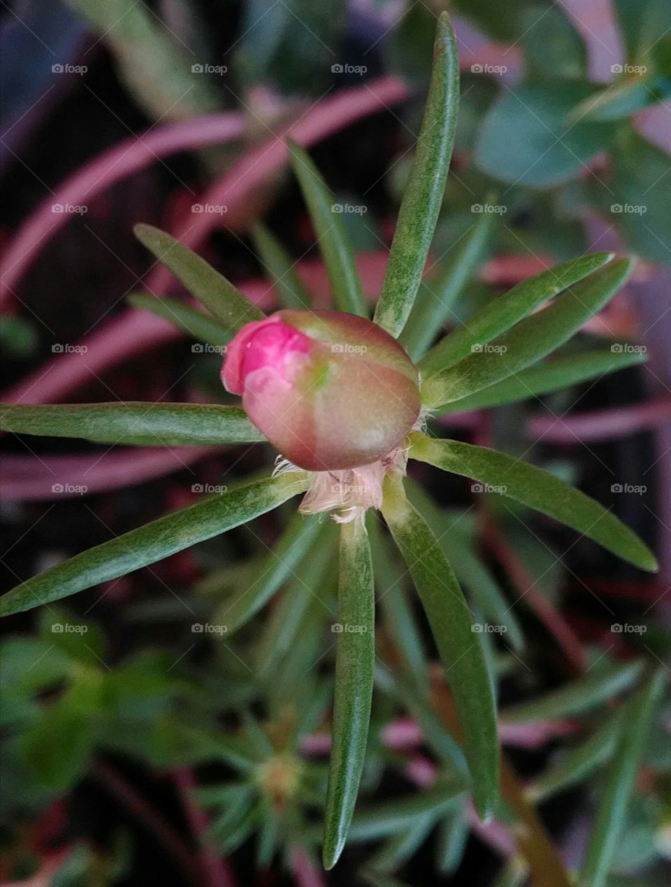 Cada coisa tem sua devida hora.