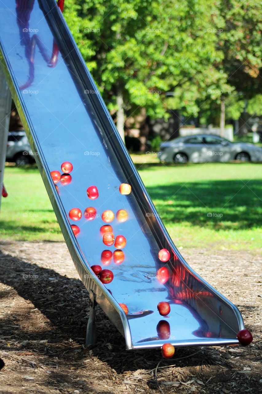 Apples Rolling Down A Slide