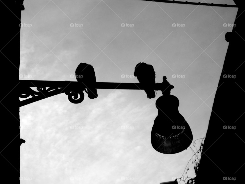 Silent Conversations