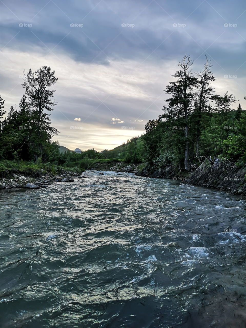 mountain river through the forest