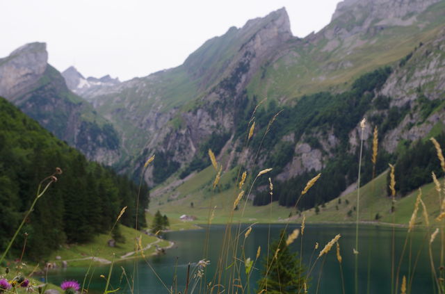 mountain landscape