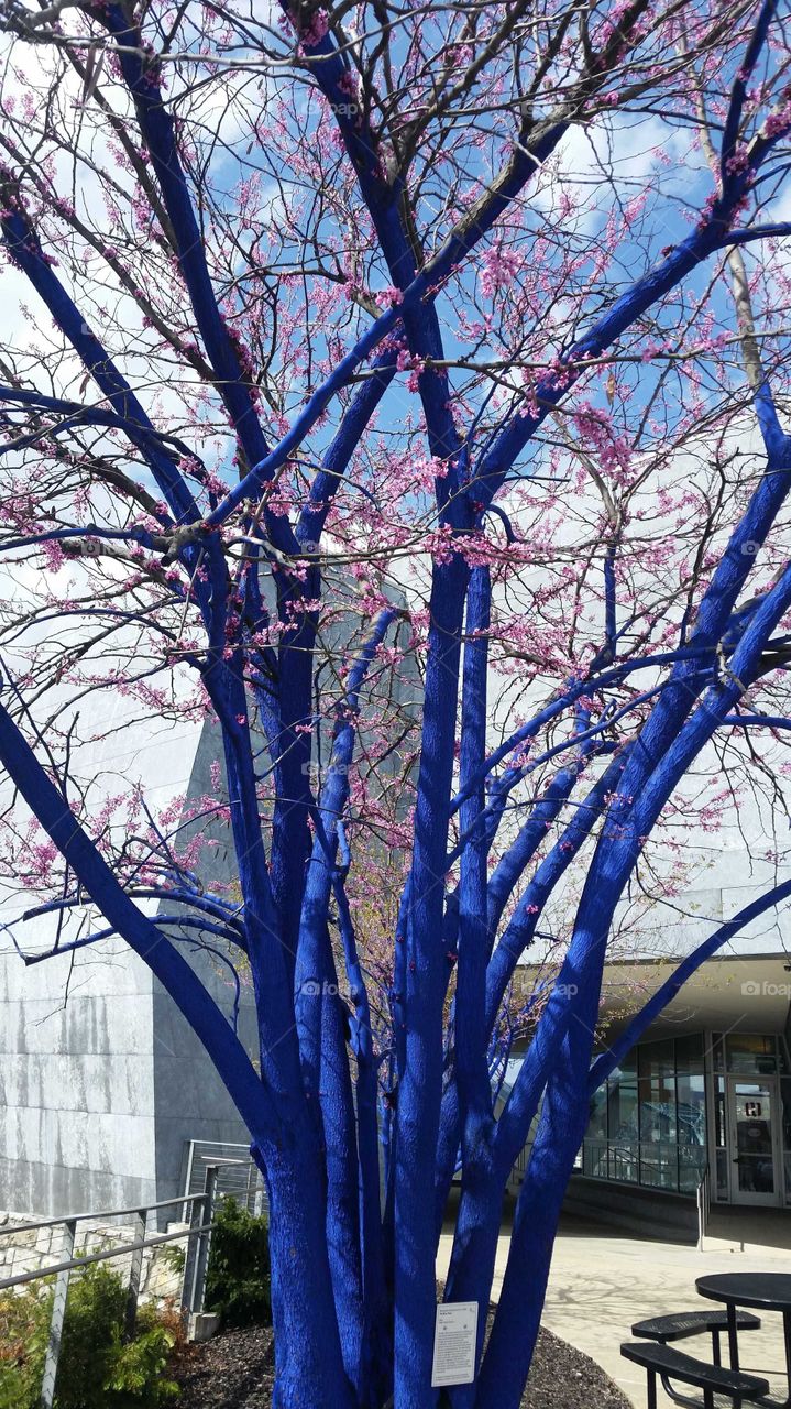 blue trees in Chattanooga Tennessee bring awareness to environmental issues as portrayed by a local artist