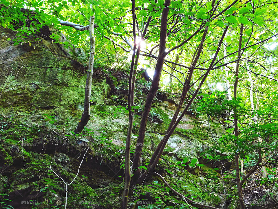 Walking the old trolley trail 