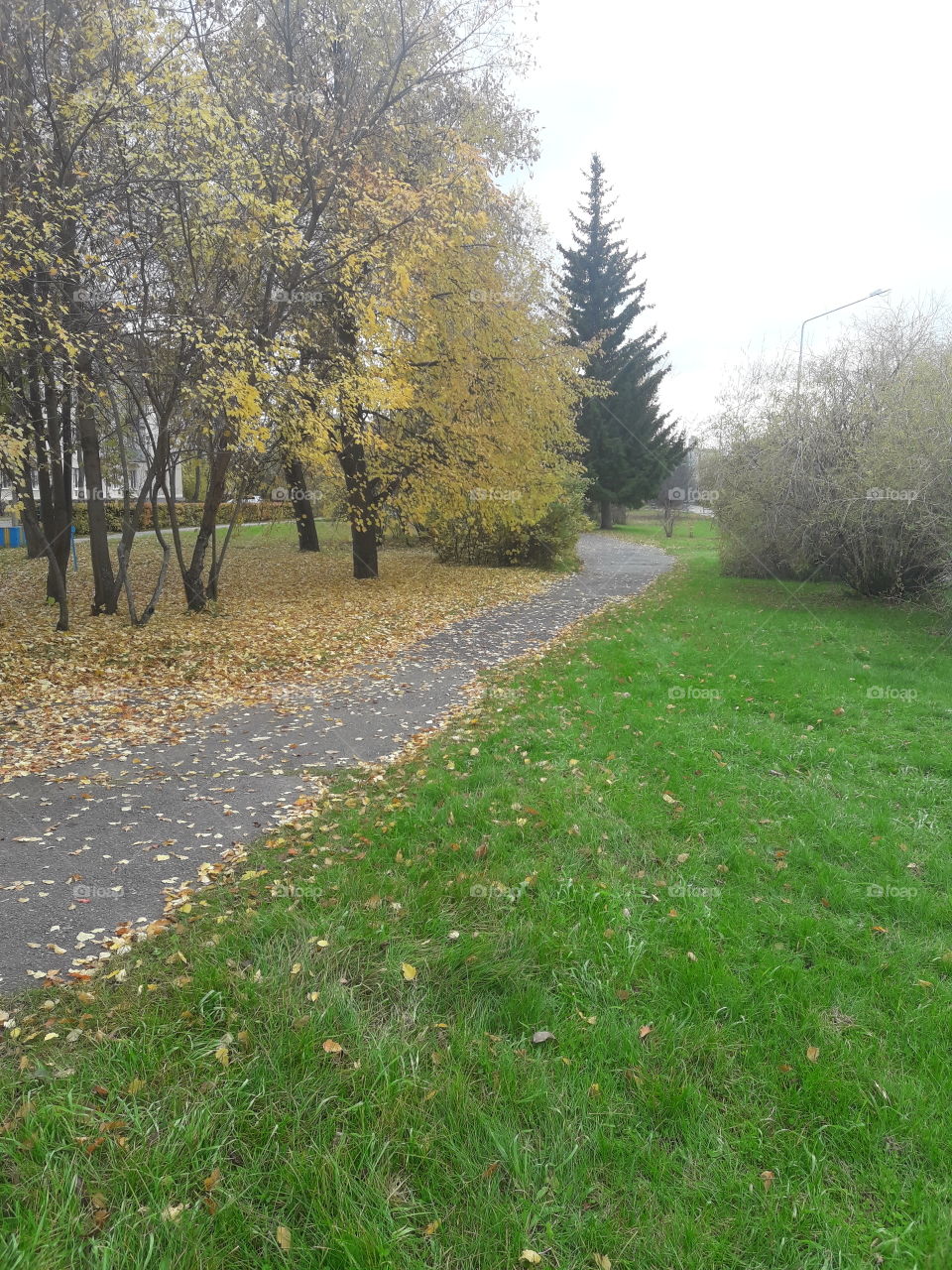 Осенний ландшафт городка