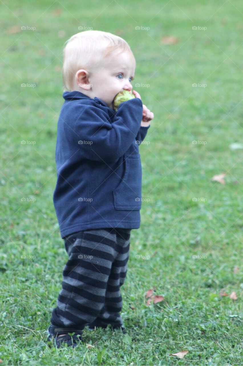 Close-up of a boy eating fruit