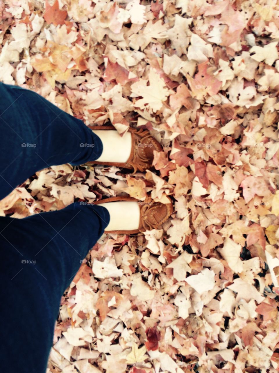 Shoes in the leaves 