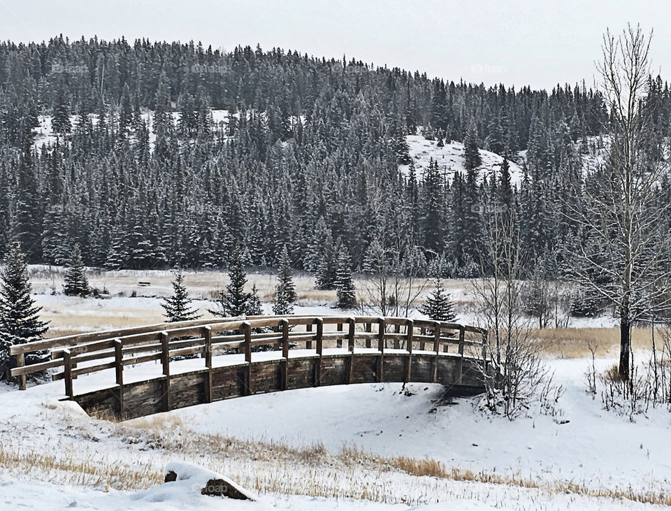 Snowy Bridge