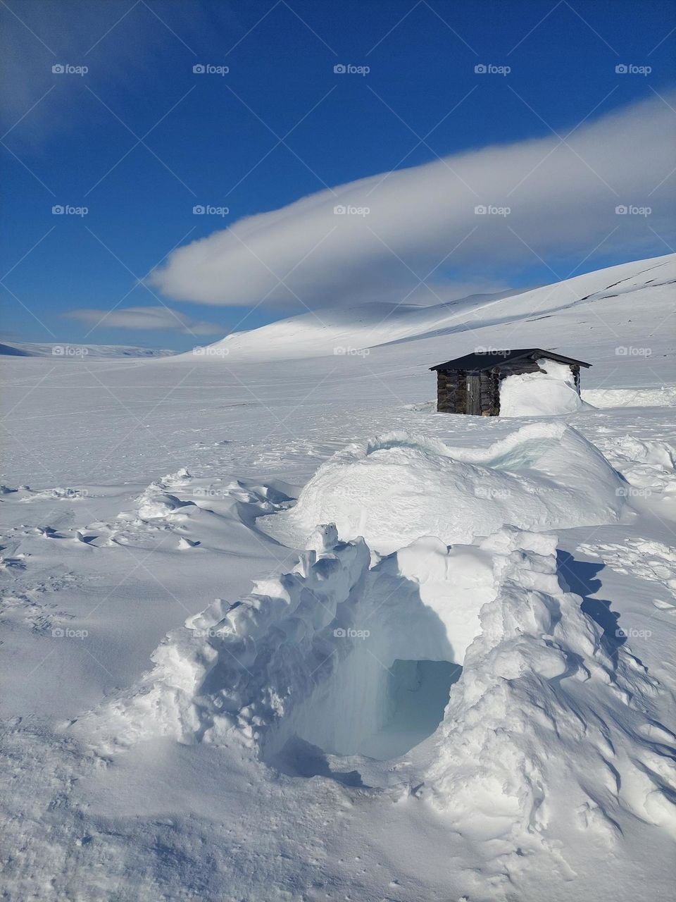 Free hotel room under the sky