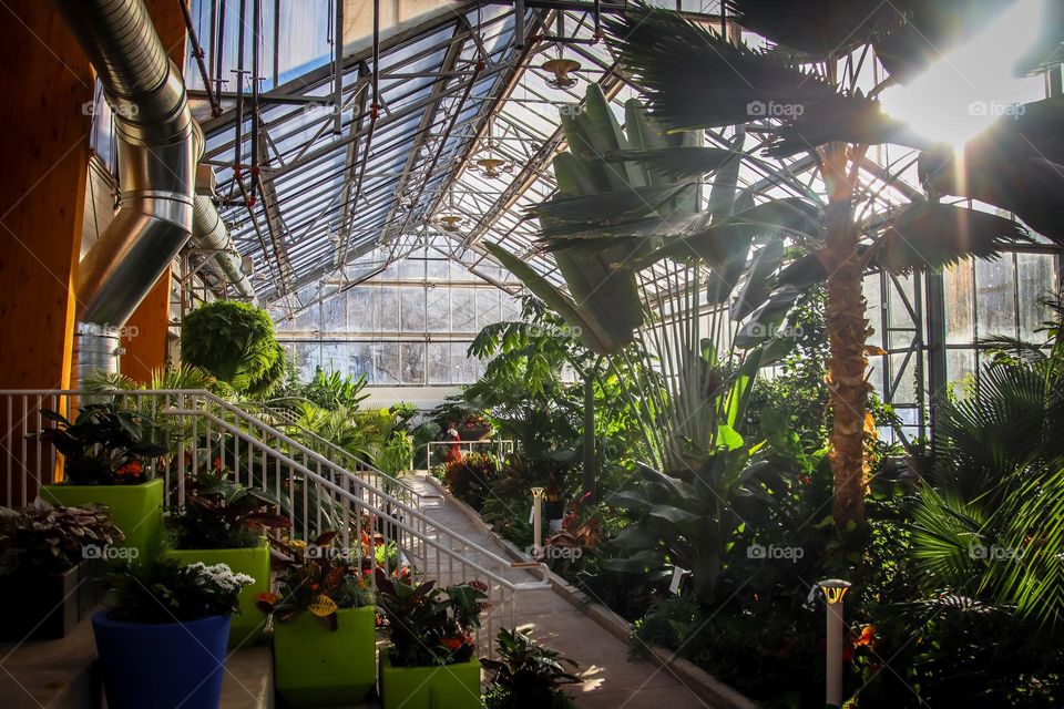 Urban plant heaven: inside the greenhouse