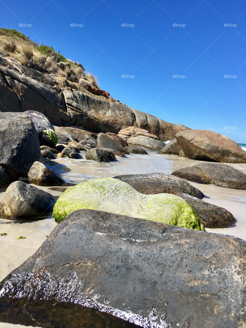 Tide washing over algae covered rocks low angle ocean view south Australia 