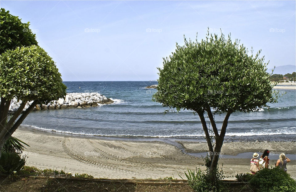 ocean summer palm trees by lgt41