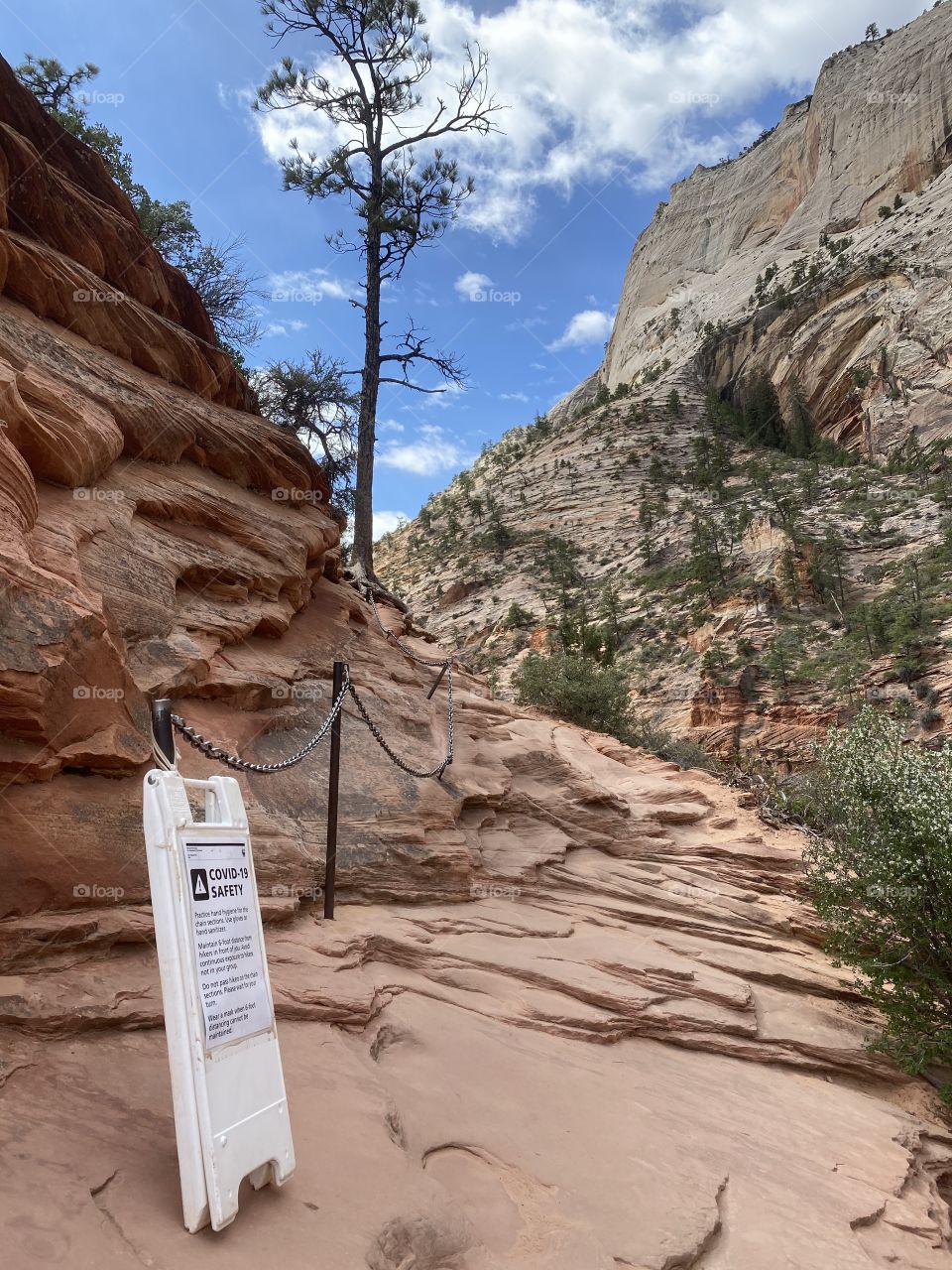 Angel’s Landing Trail