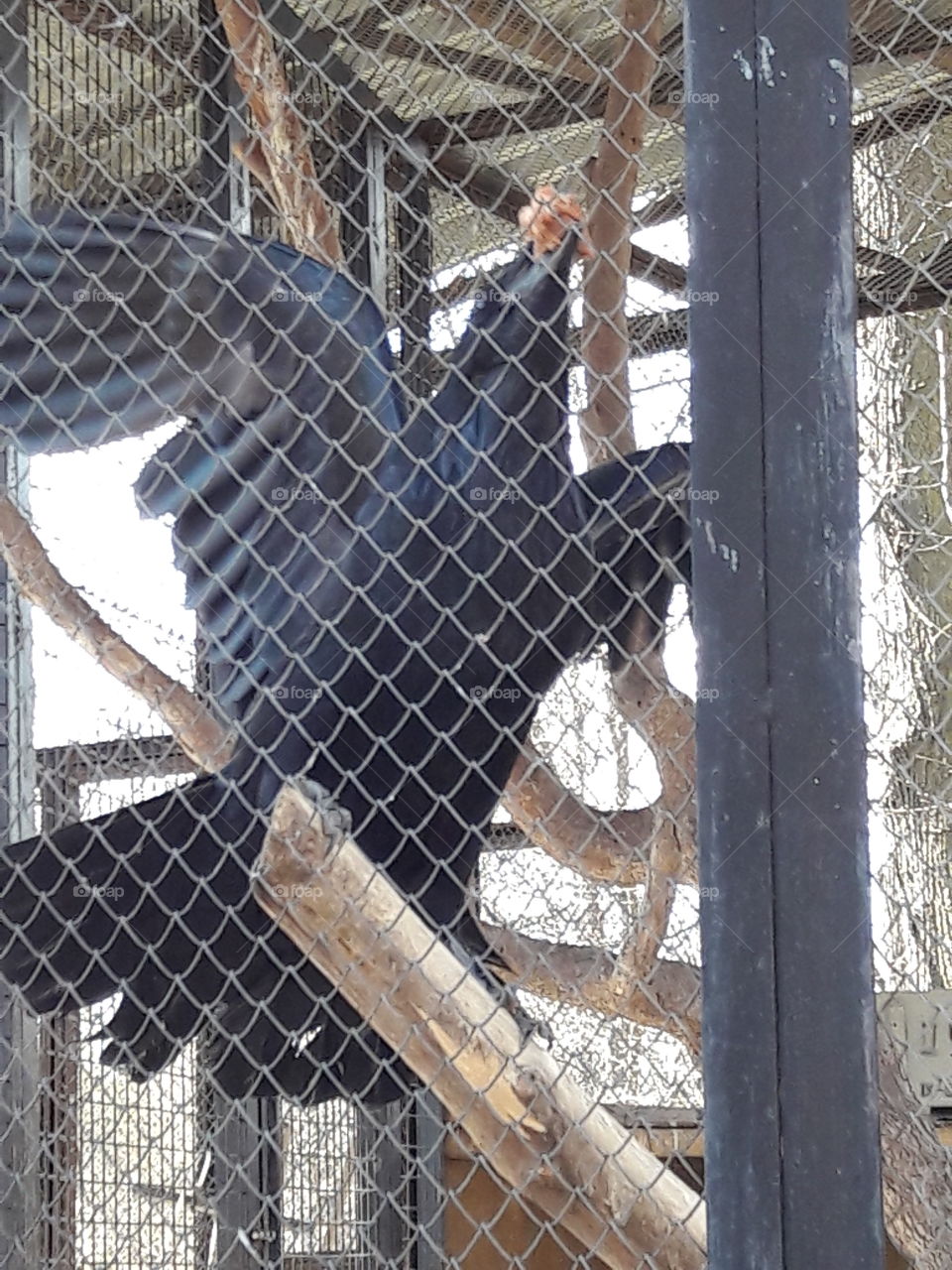 park spring time sun sunny colors colorful nature wild plants flowers amazing stunning cool nice weather hot lovely sky forest grass view splendid
