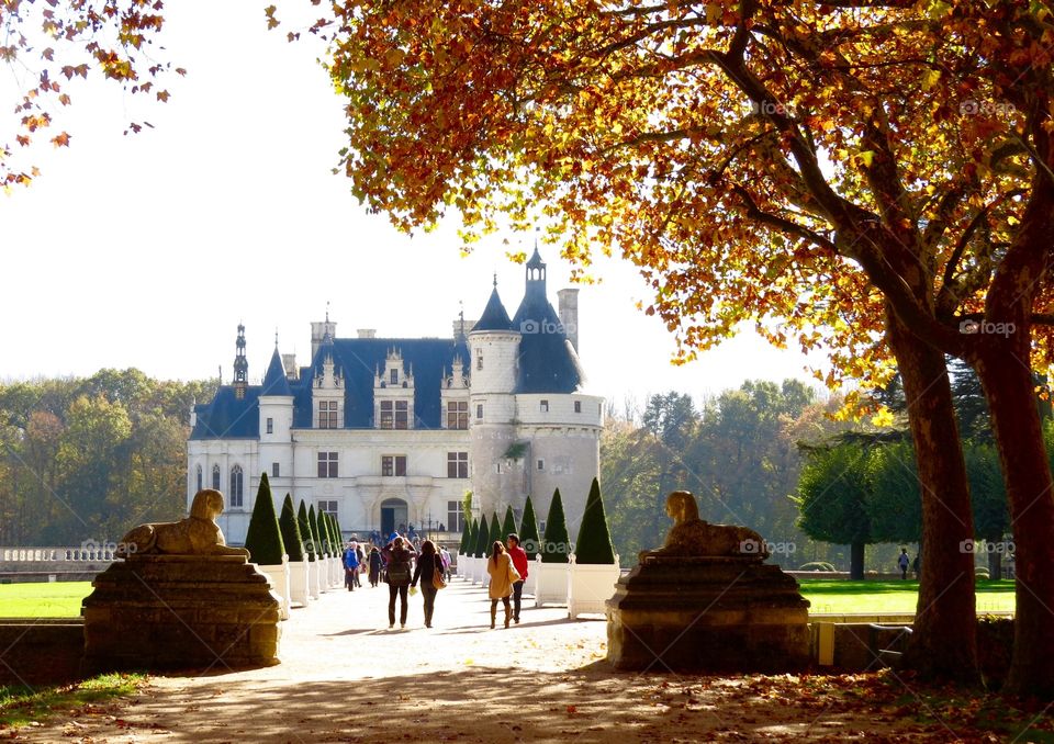 Château de Chenonceau in the Loire Valley, France