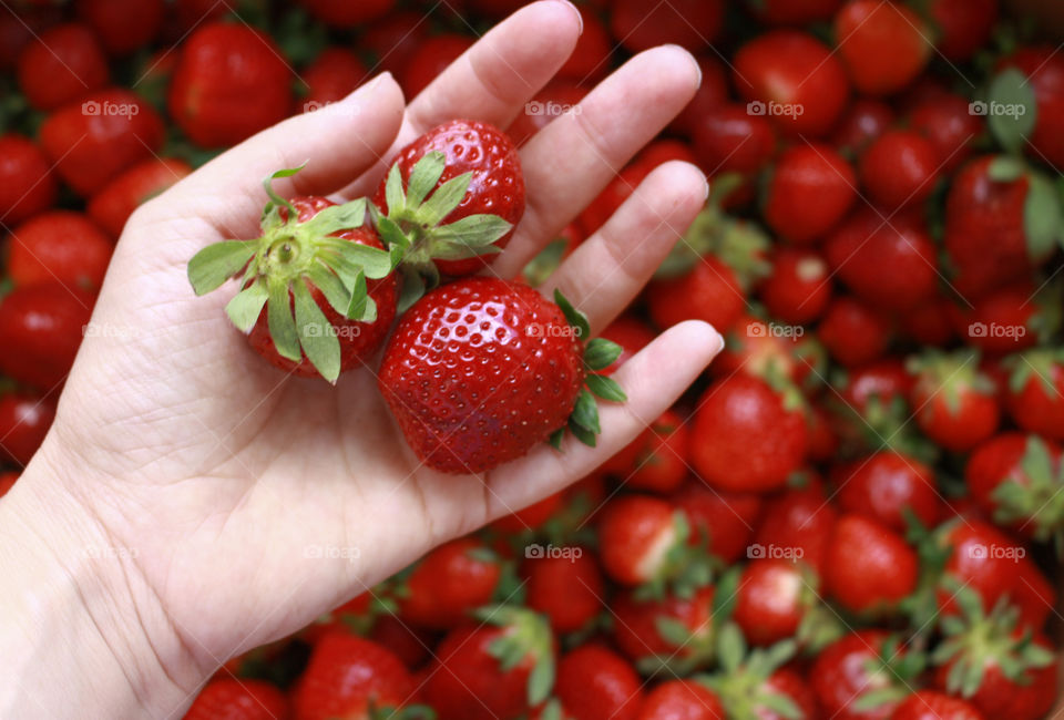 fresh strawberries