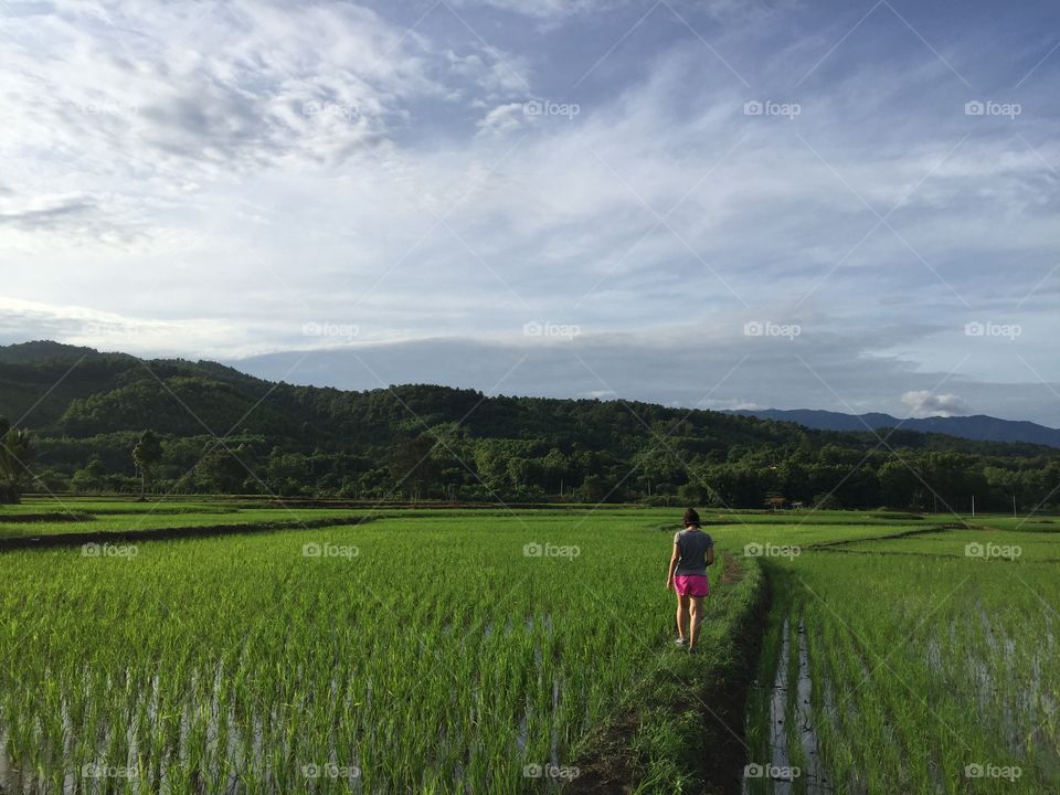 Morning walk