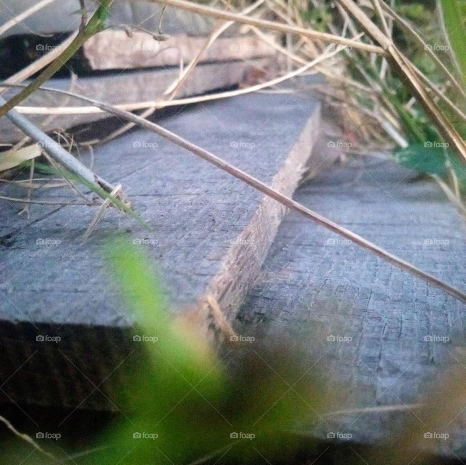 Wood among some overgrown weeds and grass
