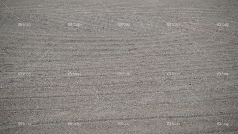 Tracks on the ranch road