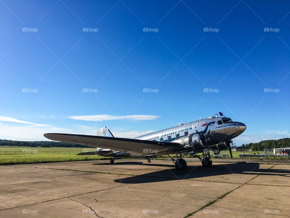 Daisy, Fridtjof Viking, DC-3