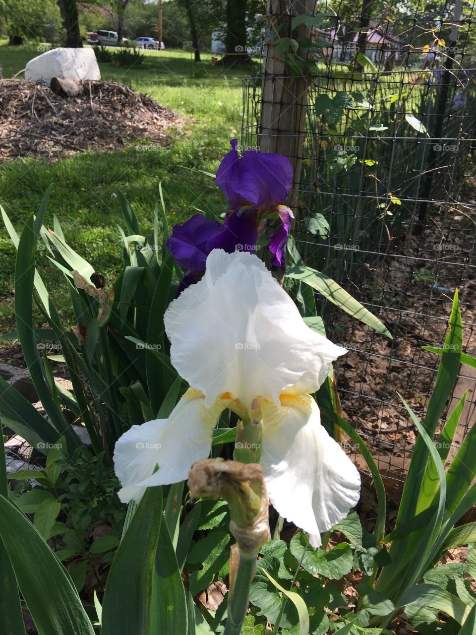 Put a smile on someone’s face, make the best of today as it will last only a short time.