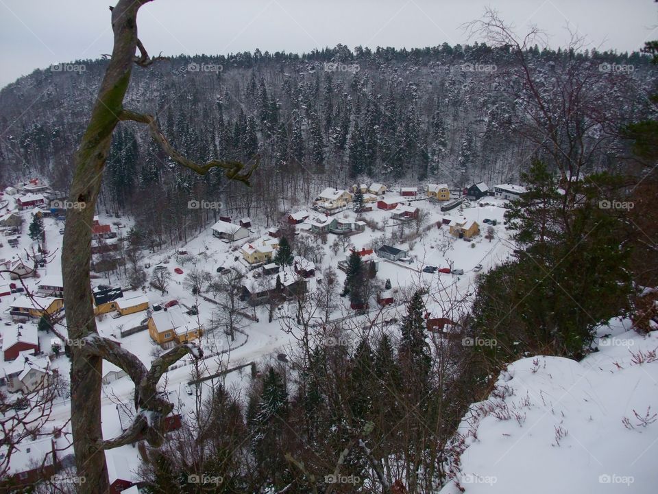 Winter village
