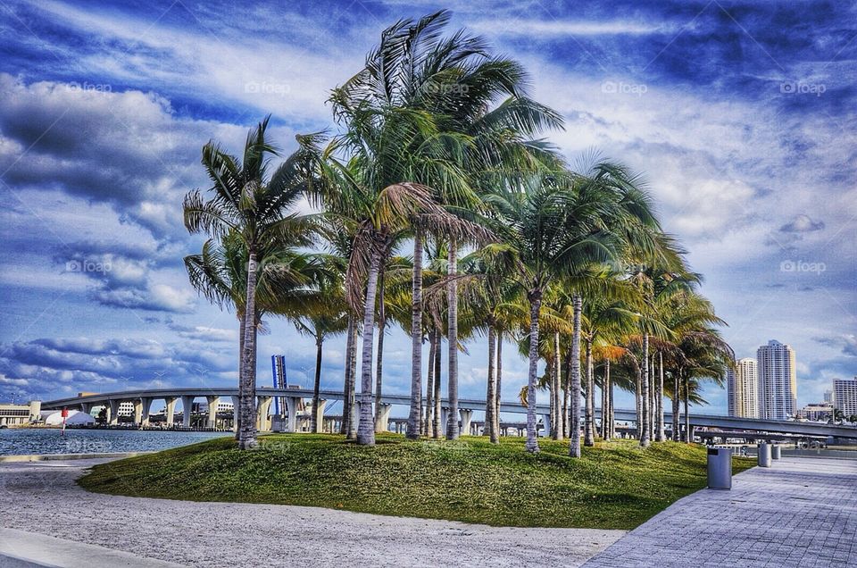 The landscapes of beautiful Miami 