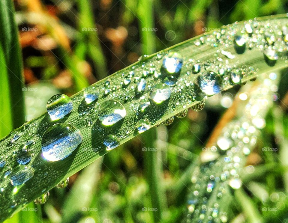 It rained last night... 