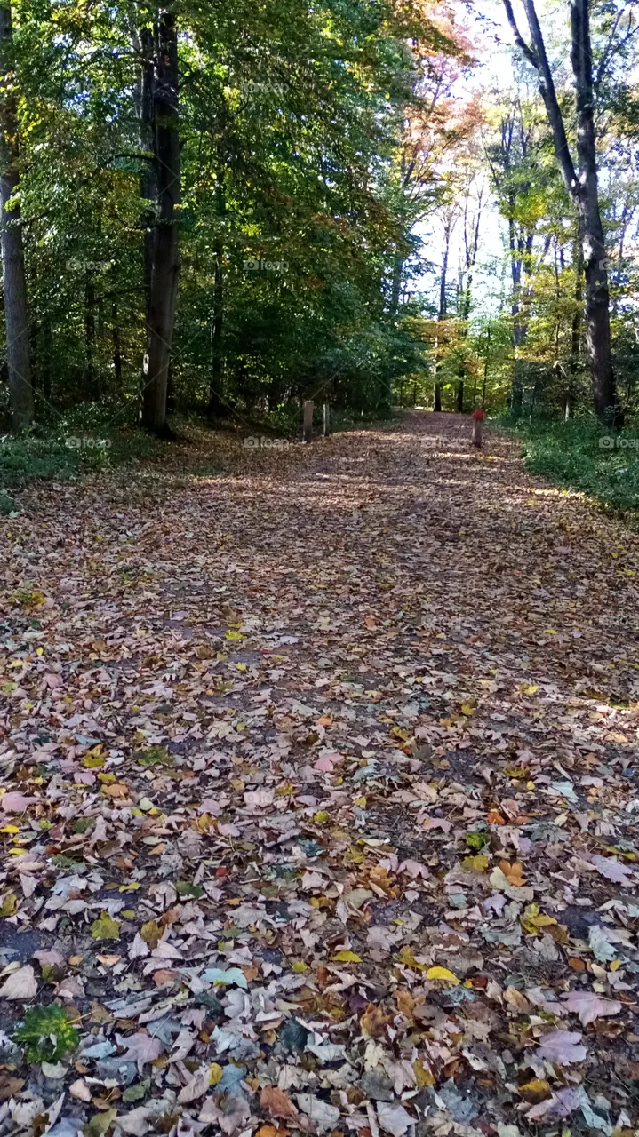 Herbst