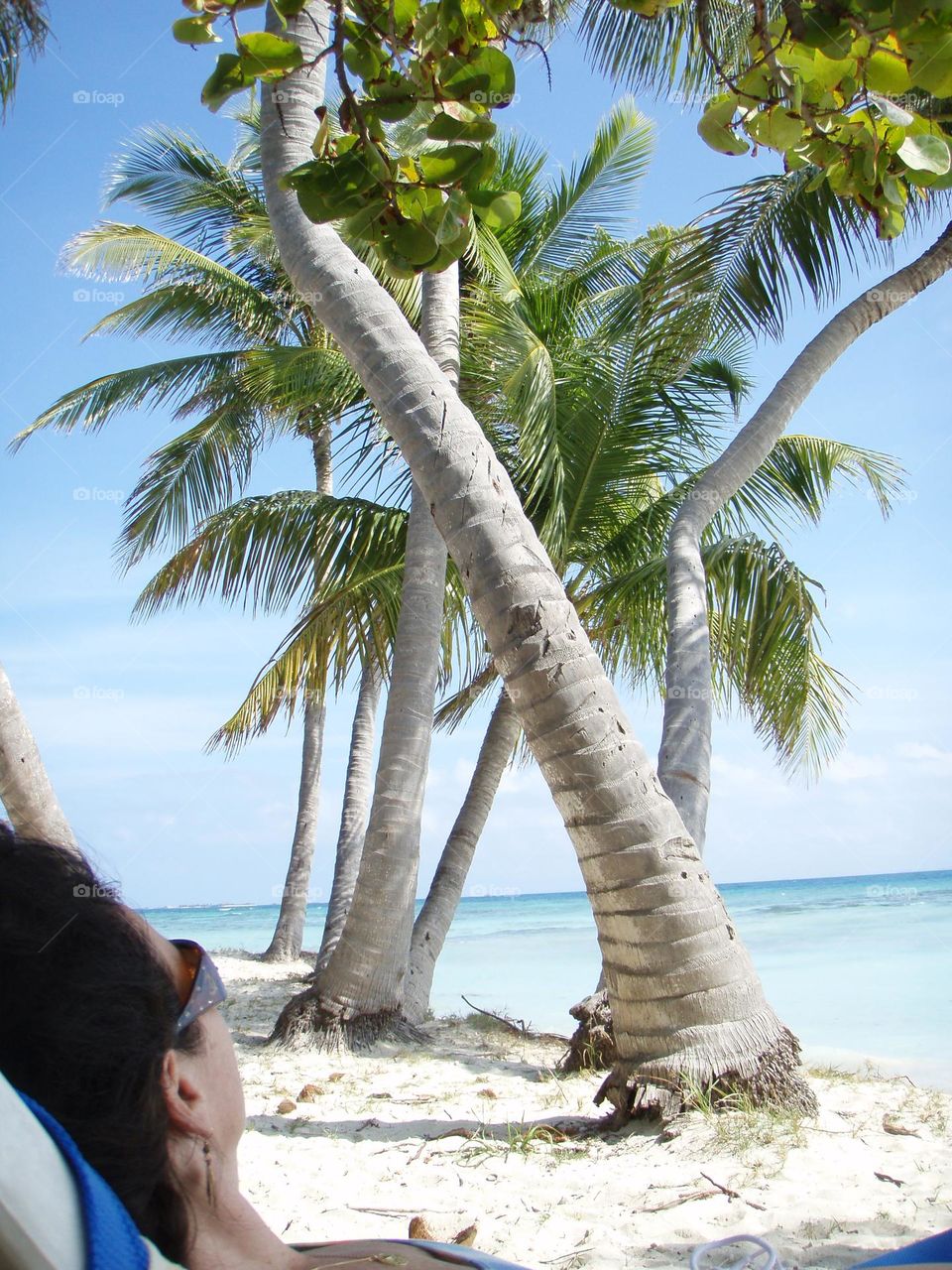 Lazy day in the sun blue skies at paradise tropical beach lounging under the coconut palm trees