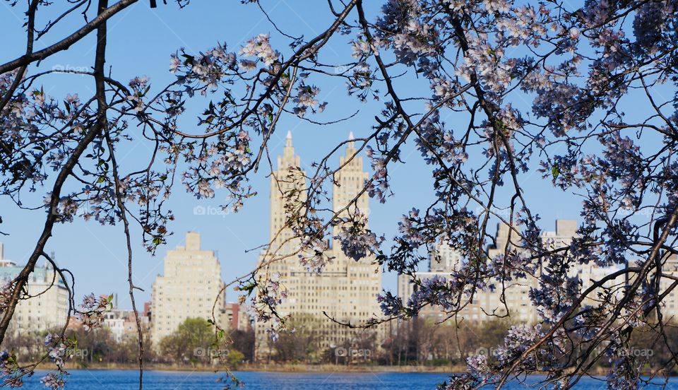 The reservoir Central Park 