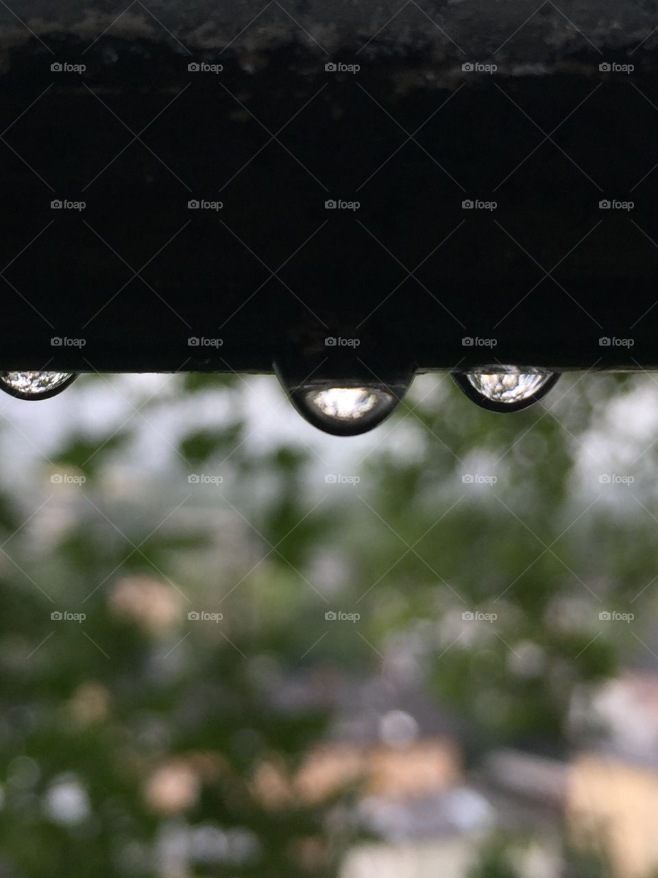 Close-up rain drops 