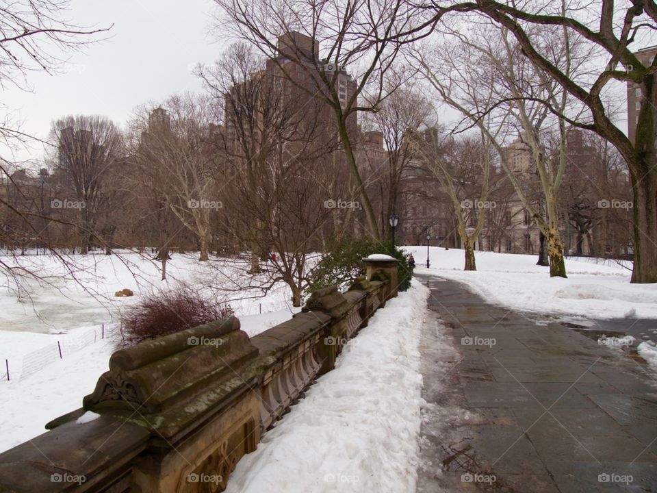 Central park with snow 