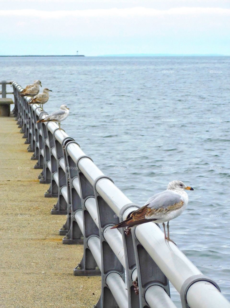 Pier at Savin Rock Beach 