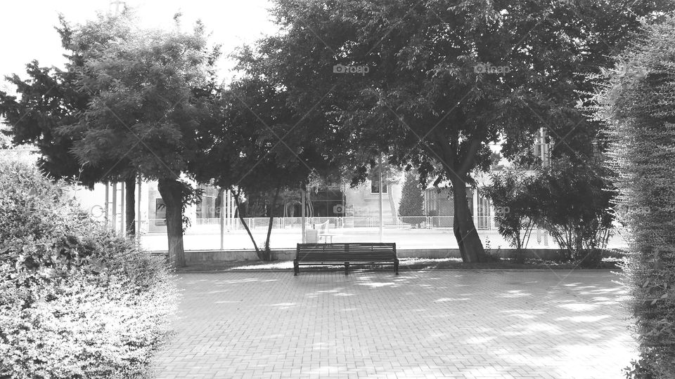 bench at the baku boulevard