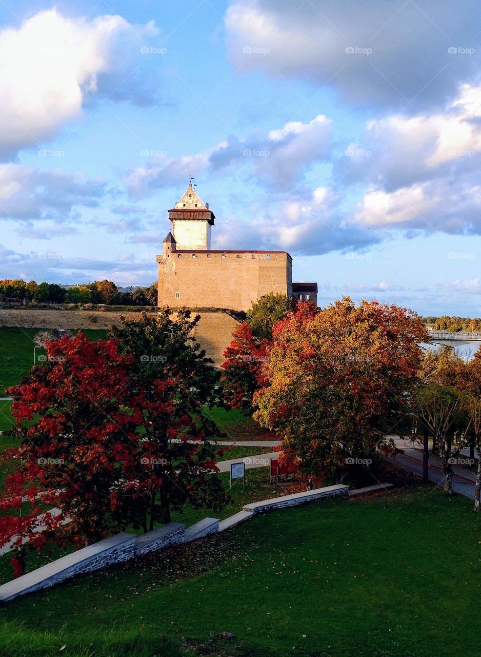 Autumn landscape 🍁🍂 Trees 🍁🍂 Building🍁🍂