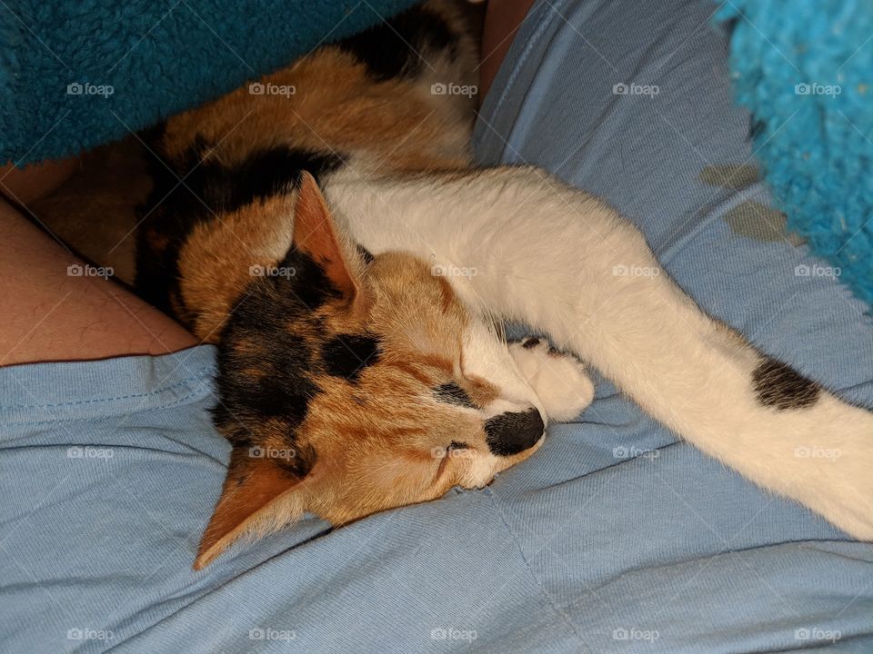 Resting at home with mommie and daddy.