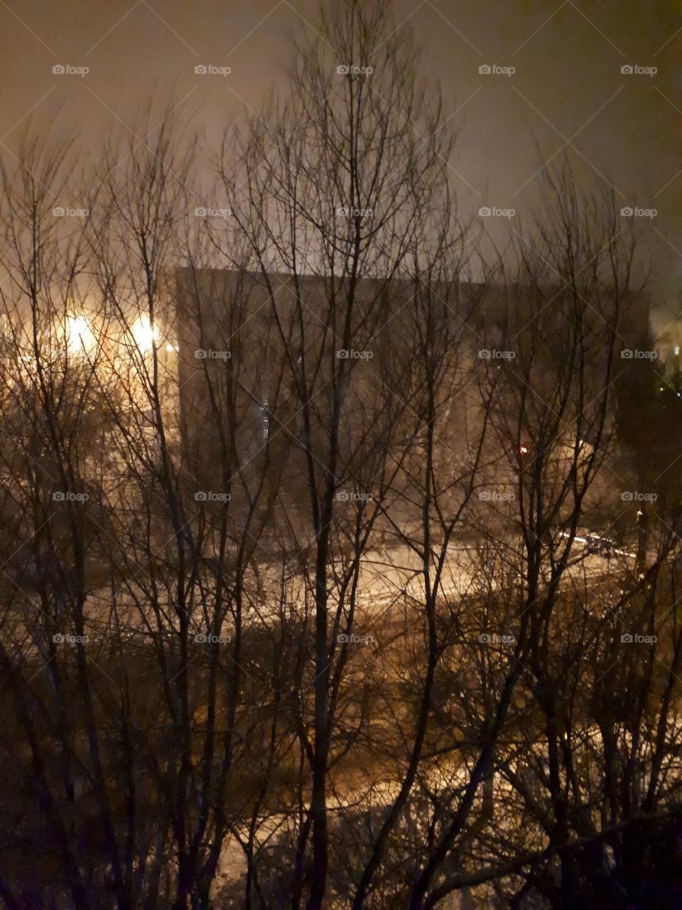 View from the window