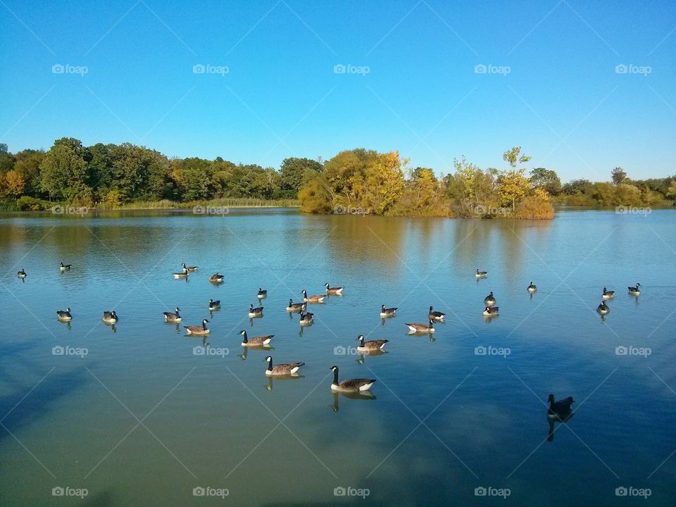 Lake behind Brock University 