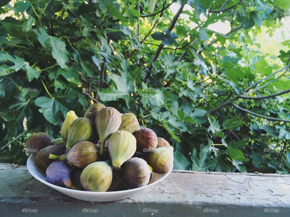 Figs Forever 