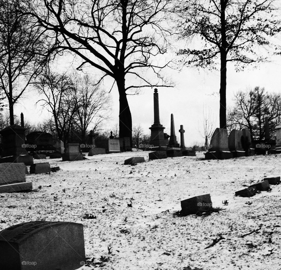 Elm Grove Cemetery. Elm Grove Cemetery