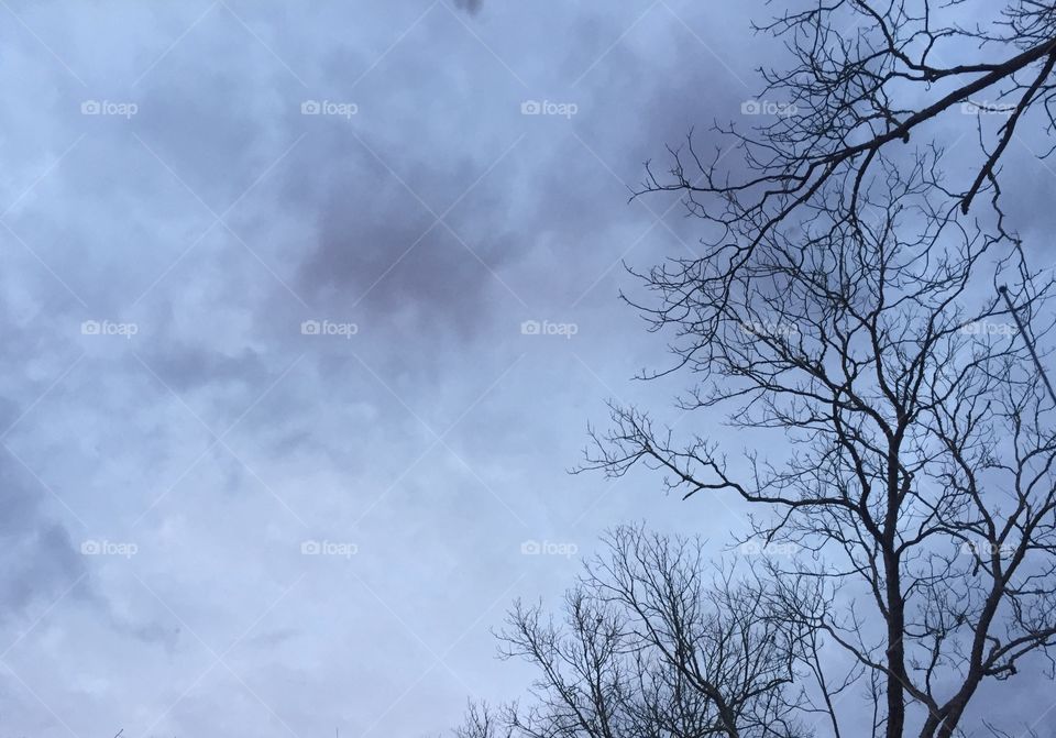 Foggy autumn afternoon