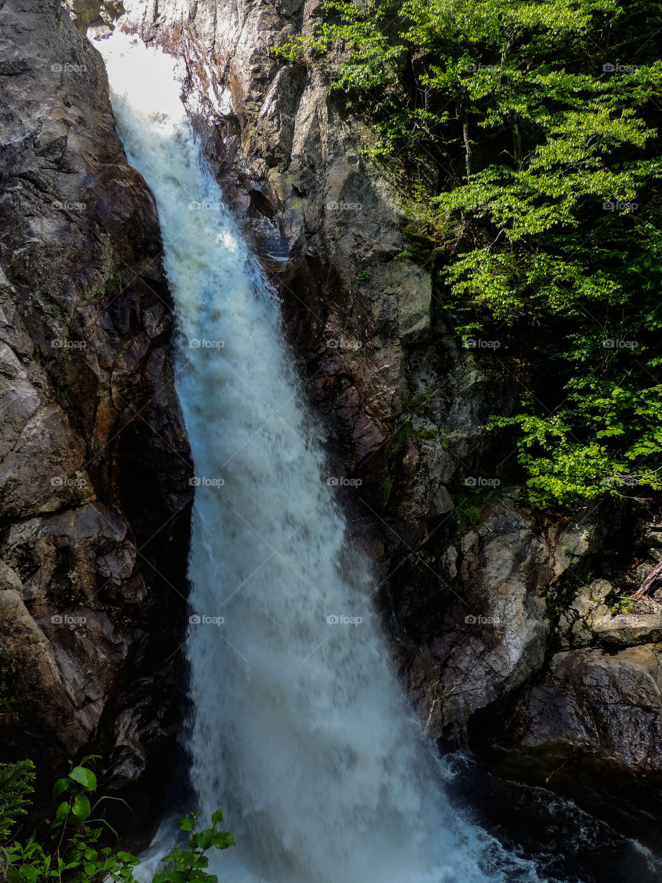 Glen Ellis Falls